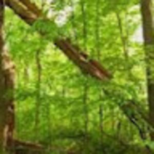 Meet your Posher, Nichole